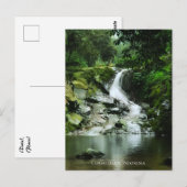 Carte Postale Cascade d'eau verte luxuriante fraîche (Devant / Derrière)