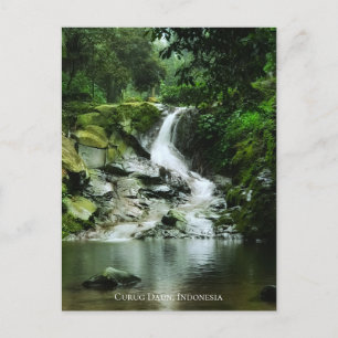 Carte Postale Cascade d'eau verte luxuriante fraîche