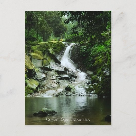Carte Postale Cascade d'eau verte luxuriante fraîche (Devant)
