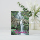 Carte Postale Cascade des Aigrettes Saint Gilles Réunion (Debout devant)