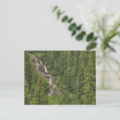 Carte Postale Cascade des Rocheuses (Debout devant)