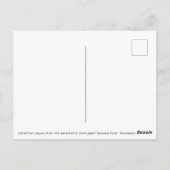 Carte Postale Cascade Dettifoss - Vatnajokull NP - Islande (Dos)