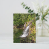 Carte Postale Cascade du fleuve Coe (Debout devant)