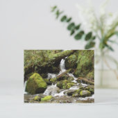 Carte Postale Cascade du lac Quinault (Debout devant)