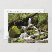 Carte Postale Cascade du lac Quinault (Devant / Derrière)