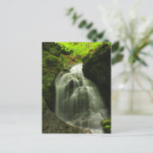 Carte Postale Cascade du mont Toby Roaring Falls (Debout devant)
