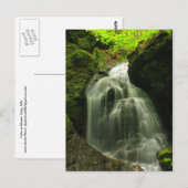 Carte Postale Cascade du mont Toby Roaring Falls (Devant / Derrière)