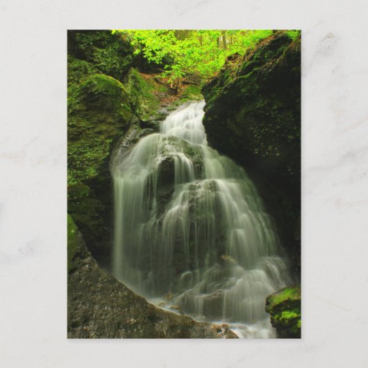 Carte Postale Cascade du mont Toby Roaring Falls (Devant)