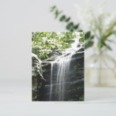 Carte Postale Cascade du parc d'état Fern Clyffe (Debout devant)