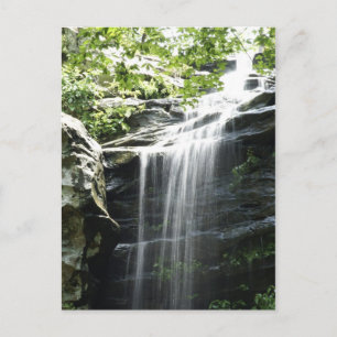 Carte Postale Cascade du parc d'état Fern Clyffe