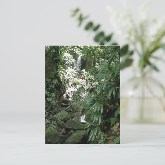 Carte Postale Cascade En Dominique (Debout devant)