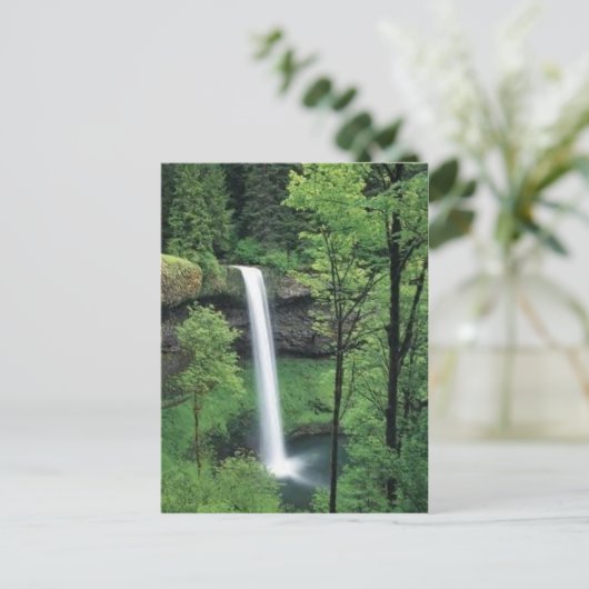 Carte Postale Cascade entourée de verdure luxuriante (Debout devant)