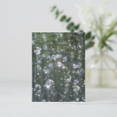 Carte Postale Cascade étincelante (Debout devant)