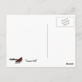 Carte Postale Cascade Falls at Yosemite National Park (Dos)