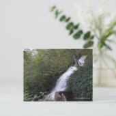 Carte Postale Cascade Falls, Blue Ridge Mountains (Debout devant)