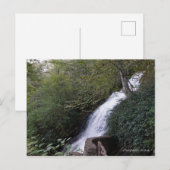 Carte Postale Cascade Falls, Blue Ridge Mountains (Devant / Derrière)