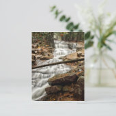 Carte Postale Cascade forestière paisible (Debout devant)