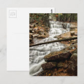 Carte Postale Cascade forestière paisible (Devant / Derrière)