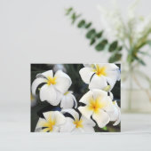 Carte postale Cascade Hawaii Plumeria (Debout devant)