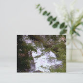 Carte Postale Cascade peinte (Debout devant)