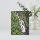 Carte Postale Cascade Près De Hilo, Hawaii (Debout devant)