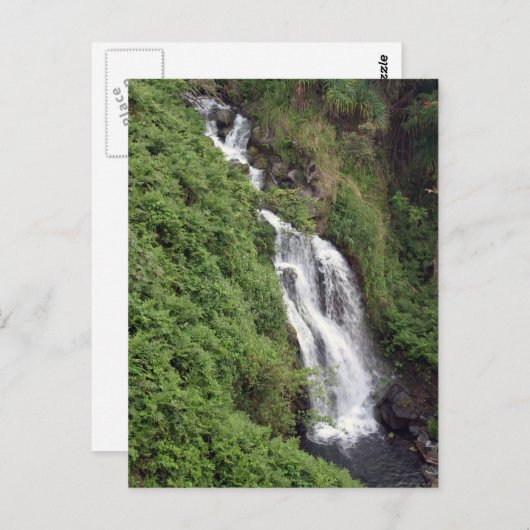 Carte Postale Cascade Près De Hilo, Hawaii (Devant / Derrière)