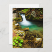 Carte Postale Cascade sur Hare Creek, Californie (Devant / Derrière)