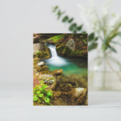 Carte Postale Cascade sur Hare Creek, Californie (Debout devant)