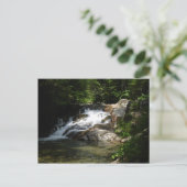 Carte Postale Cascade sur le Pemigewasset (Debout devant)