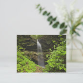 Carte Postale Cascade tombant dans l'évier, Whiteoak Sink, (Debout devant)