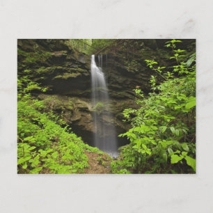 Carte Postale Cascade tombant dans un sinkhole, Whiteoak Sink,