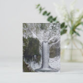 Carte Postale Cascade trouble entourée par une forêt de Milou (Debout devant)