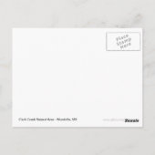 Carte Postale Cascades du ruisseau Clark - Collines Tunica (Dos)