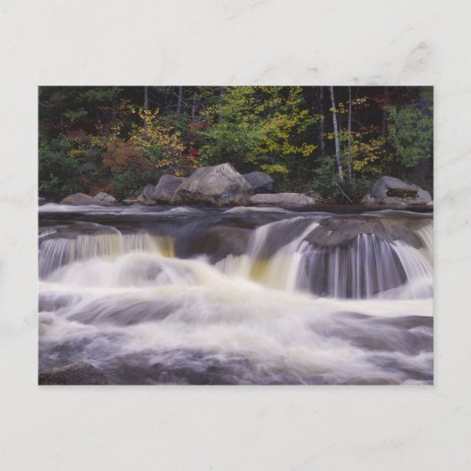 Carte Postale Cascades, Route Kancamagus, Blanc (Devant)