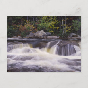 Carte Postale Cascades, Route Kancamagus, Blanc