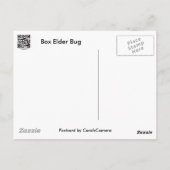Carte Postale Case Elder Bug Coordonner les éléments (Dos)
