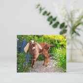 Carte postale "Casey" (Debout devant)