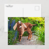 Carte postale "Casey" (Devant / Derrière)