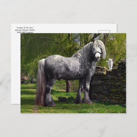 Carte postale "Caspian & Ses Chats" (Devant / Derrière)