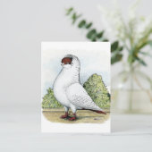 Carte Postale Casque : Pigeon rouge (Debout devant)