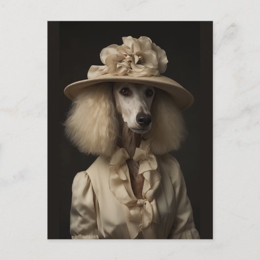 Carte Postale Casquette à fleur de caniche (Devant)