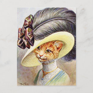 Carte Postale Casquette à plumes pour chats