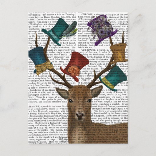 Carte Postale Casquette Collector Deer (Devant)
