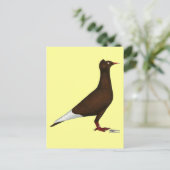 Carte Postale Casquette de vol Pigeon (Debout devant)