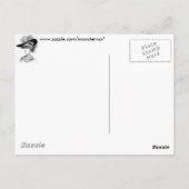Carte Postale Casquette féminin (Dos)