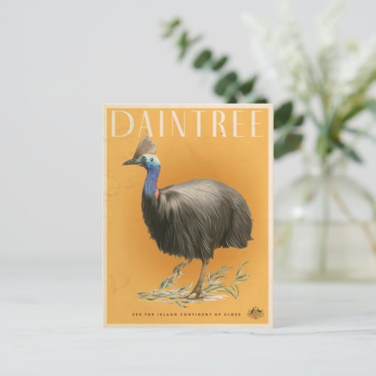 Carte postale Cassowary de Daintree Rainforest (Debout devant)
