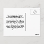 Carte Postale Castaway (Dos)