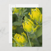 Carte Postale Castilleja (Devant / Derrière)