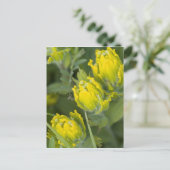 Carte Postale Castilleja (Debout devant)