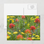 Carte Postale Castilleja et biscuitroot fleurs sauvages (Devant / Derrière)